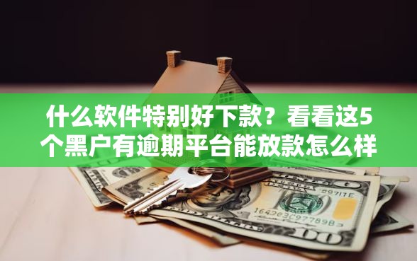 什么软件特别好下款？看看这5个黑户有逾期平台能放款怎么样