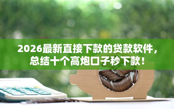 2026最新直接下款的贷款软件，总结十个高炮口子秒下款！