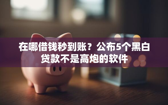 在哪借钱秒到账？公布5个黑白贷款不是高炮的软件