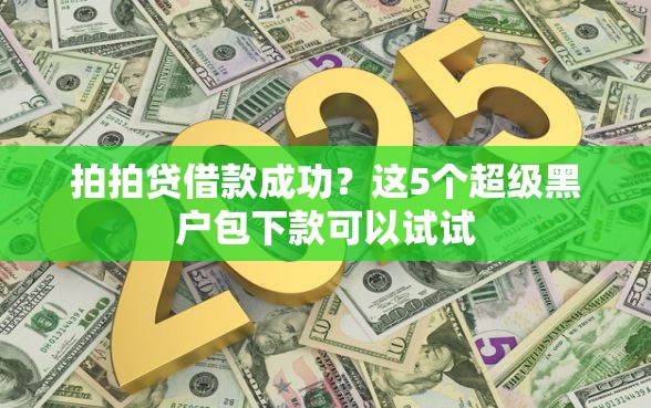 拍拍贷借款成功？这5个超级黑户包下款可以试试
