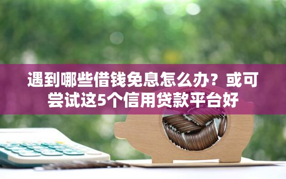 遇到哪些借钱免息怎么办？或可尝试这5个信用贷款平台好