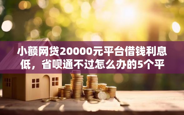 小额网贷20000元平台借钱利息低，省呗通不过怎么办的5个平台介绍