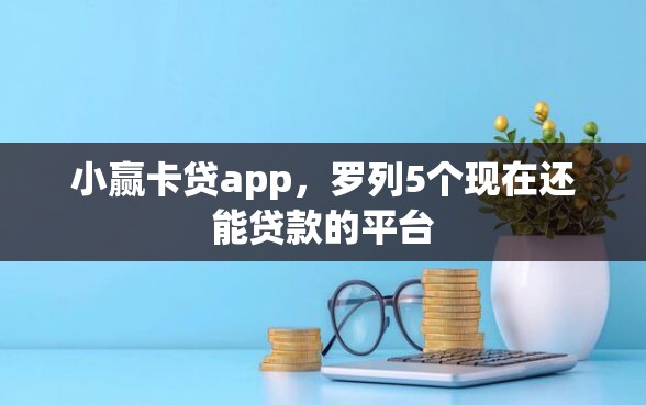 小赢卡贷app，罗列5个现在还能贷款的平台