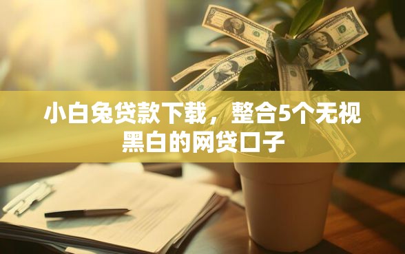 小白兔贷款下载，整合5个无视黑白的网贷口子