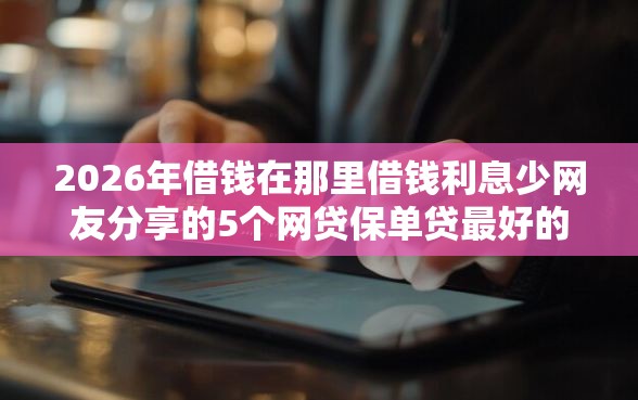 2026年借钱在那里借钱利息少网友分享的5个网贷保单贷最好的平台我觉得不错！