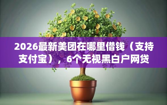 2026最新美团在哪里借钱（支持支付宝），6个无视黑白户网贷app无私分享