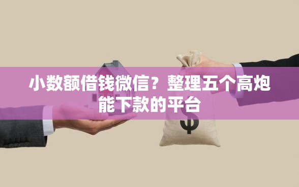 小数额借钱微信？整理五个高炮能下款的平台