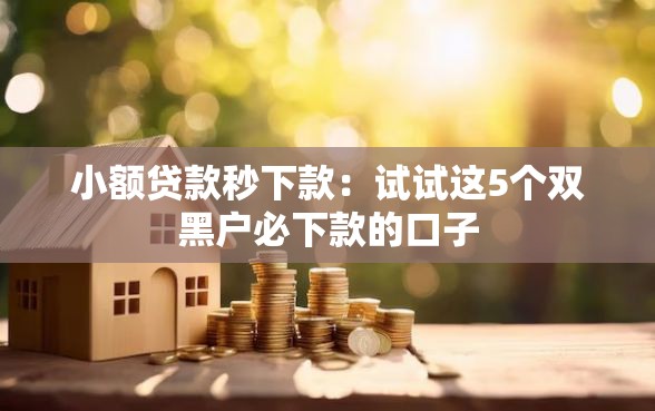 小额贷款秒下款：试试这5个双黑户必下款的口子