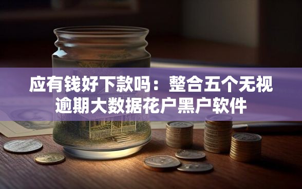应有钱好下款吗：整合五个无视逾期大数据花户黑户软件