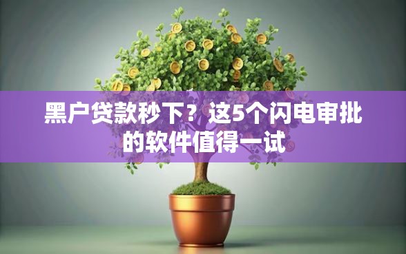 黑户贷款秒下？这5个闪电审批的软件值得一试