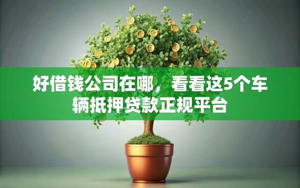 好借钱公司在哪，看看这5个车辆抵押贷款正规平台