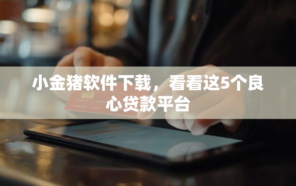 小金猪软件下载，看看这5个良心贷款平台