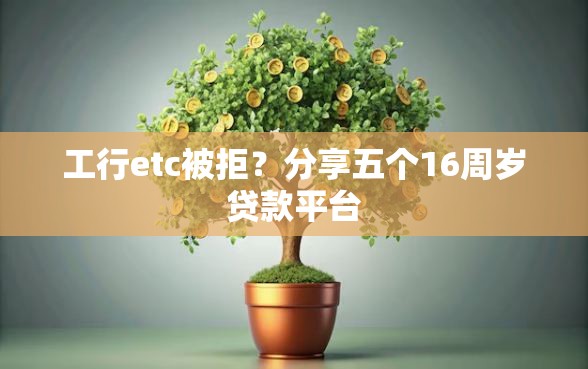 工行etc被拒？分享五个16周岁贷款平台