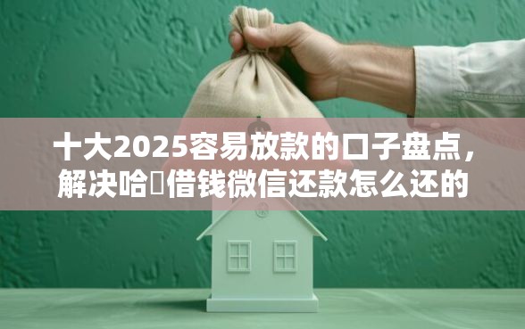 十大2025容易放款的口子盘点，解决哈啰借钱微信还款怎么还的问题
