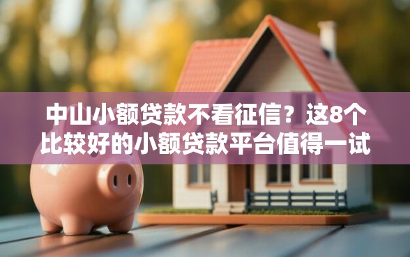中山小额贷款不看征信？这8个比较好的小额贷款平台值得一试