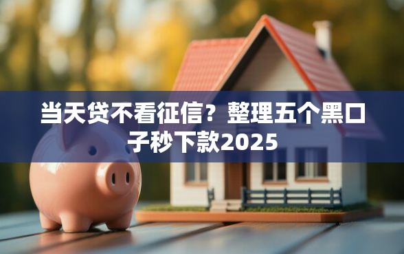 当天贷不看征信？整理五个黑口子秒下款2025