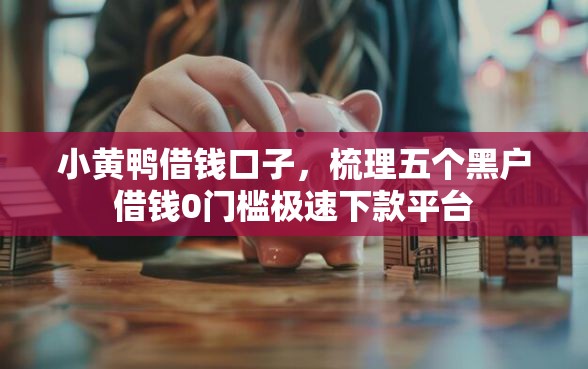 小黄鸭借钱口子，梳理五个黑户借钱0门槛极速下款平台