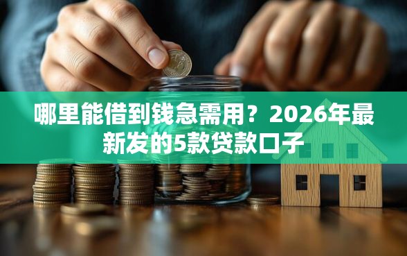 哪里能借到钱急需用?2026年最新发的5款贷款口子 哪里能借到钱急需用?2026年最新发的5款贷款口子