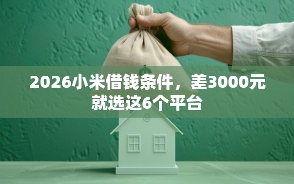 2026小米借钱条件，差3000元就选这6个平台