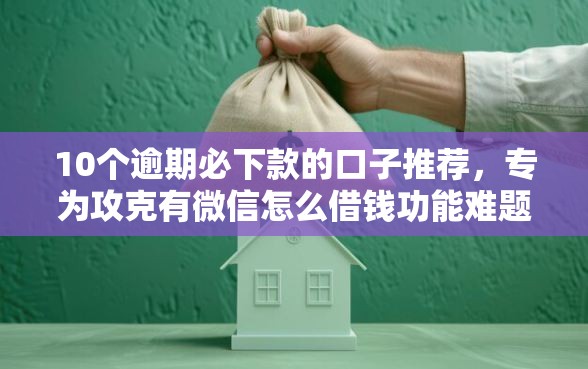 10个逾期必下款的口子推荐，专为攻克有微信怎么借钱功能难题