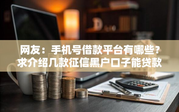 网友：手机号借款平台有哪些？求介绍几款征信黑户口子能贷款