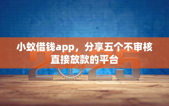小蚁借钱app，分享五个不审核直接放款的平台