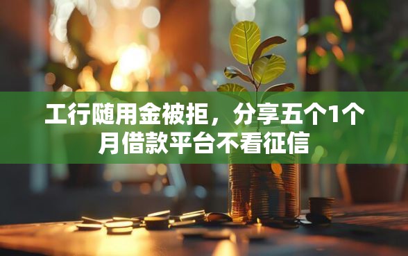 工行随用金被拒，分享五个1个月借款平台不看征信