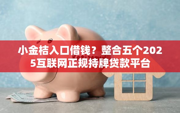 小金桔入口借钱？整合五个2025互联网正规持牌贷款平台