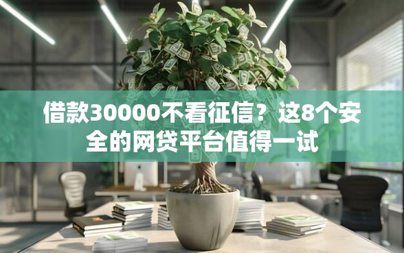 借款30000不看征信？这8个安全的网贷平台值得一试
