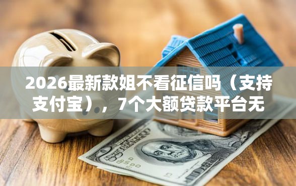 2026最新款姐不看征信吗（支持支付宝），7个大额贷款平台无私分享
