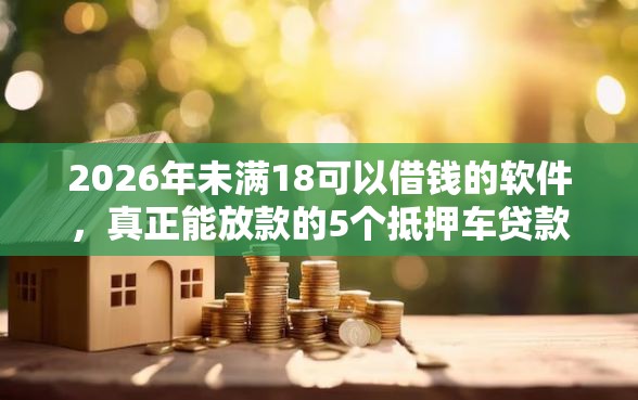2026年未满18可以借钱的软件，真正能放款的5个抵押车贷款平台好推荐