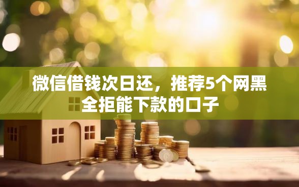 微信借钱次日还，推荐5个网黑全拒能下款的口子