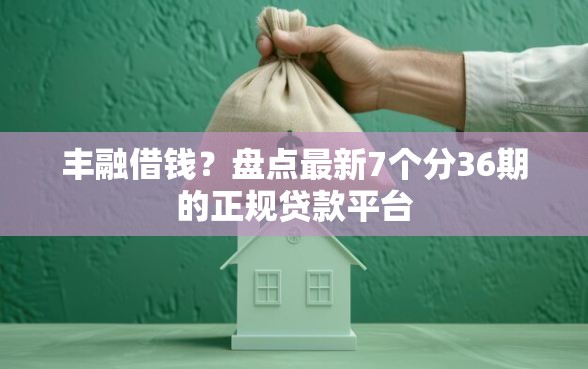 丰融借钱？盘点最新7个分36期的正规贷款平台