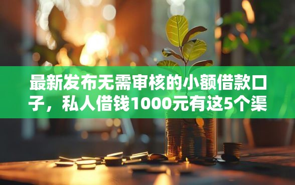最新发布无需审核的小额借款口子，私人借钱1000元有这5个渠道