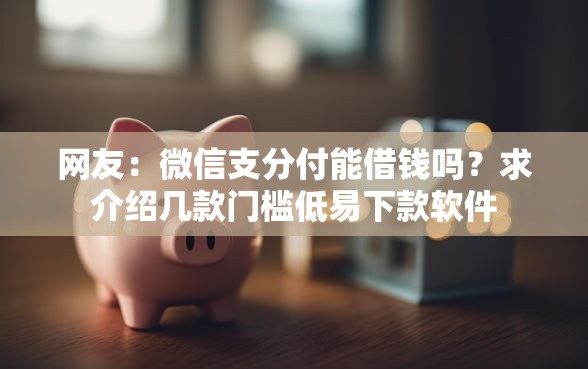 网友：微信支分付能借钱吗？求介绍几款门槛低易下款软件
