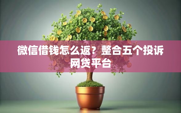 微信借钱怎么返？整合五个投诉网贷平台