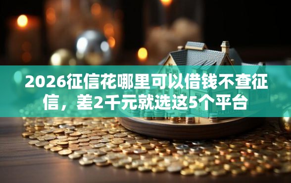 2026征信花哪里可以借钱不查征信，差2千元就选这5个平台