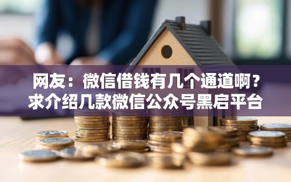 网友：微信借钱有几个通道啊？求介绍几款微信公众号黑启平台还可以贷款