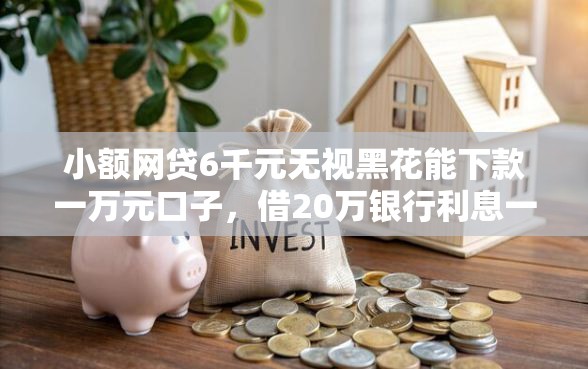 小额网贷6千元无视黑花能下款一万元口子，借20万银行利息一年多少的6个平台介绍