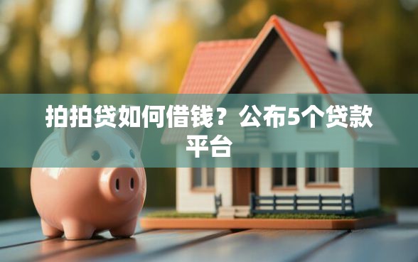 拍拍贷如何借钱？公布5个贷款平台