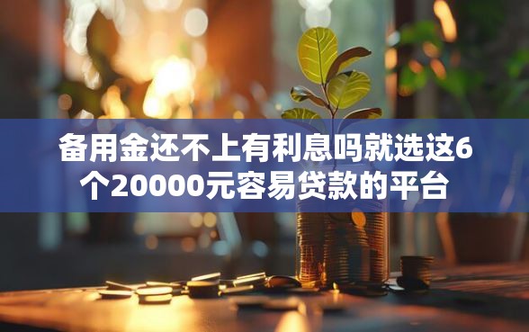 备用金还不上有利息吗就选这6个20000元容易贷款的平台