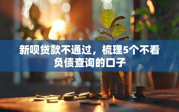 新呗贷款不通过，梳理5个不看负债查询的口子