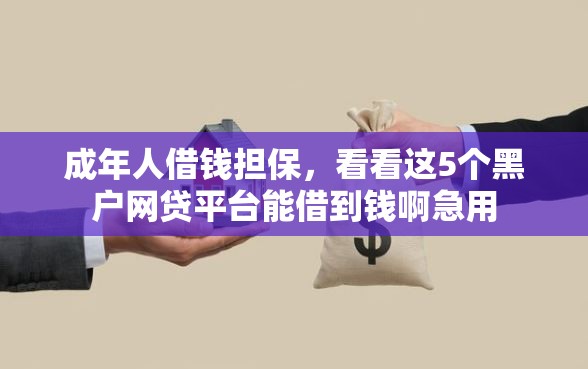 成年人借钱担保，看看这5个黑户网贷平台能借到钱啊急用
