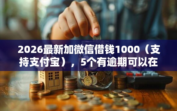 2026最新加微信借钱1000（支持支付宝），5个有逾期可以在借款平台借钱无私分享