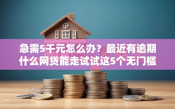 急需5千元怎么办？最近有逾期什么网贷能走试试这5个无门槛平台