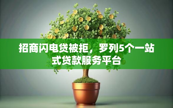招商闪电贷被拒，罗列5个一站式贷款服务平台