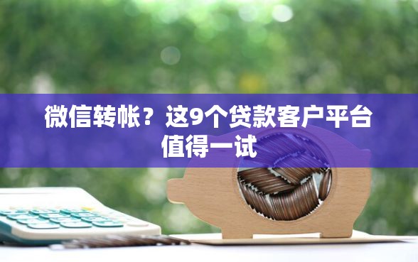 微信转帐？这9个贷款客户平台值得一试