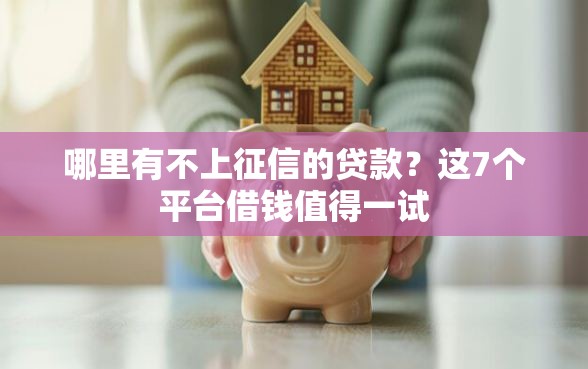 哪里有不上征信的贷款？这7个平台借钱值得一试