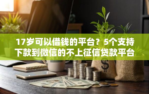 17岁可以借钱的平台？5个支持下款到微信的不上征信贷款平台查询