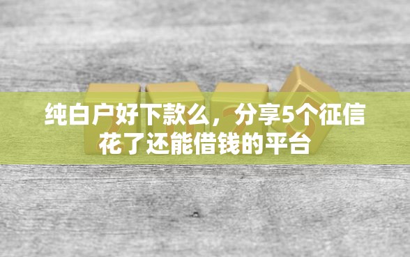 纯白户好下款么，分享5个征信花了还能借钱的平台